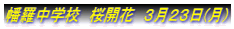 �������w�Z�@���J�ԁ@�R���Q�R��(��)