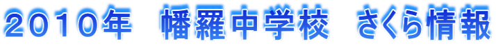 �Q�O�P�O�N�@�������w�Z�@��������