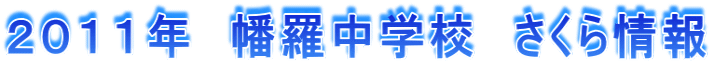 �Q�O�P�P�N�@�������w�Z�@��������