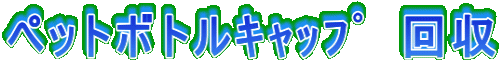 �y�b�g�{�g������߁@���
